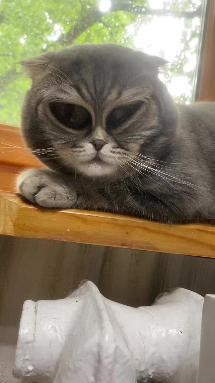 @Елена Николаева