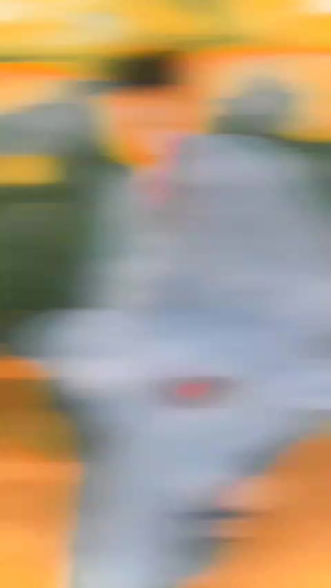 @shahjhangujjar001