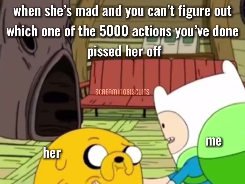 @screamingbiscuits