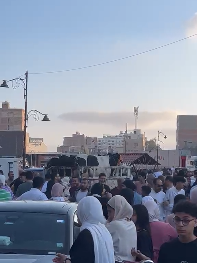 @•رَغــد•🦋