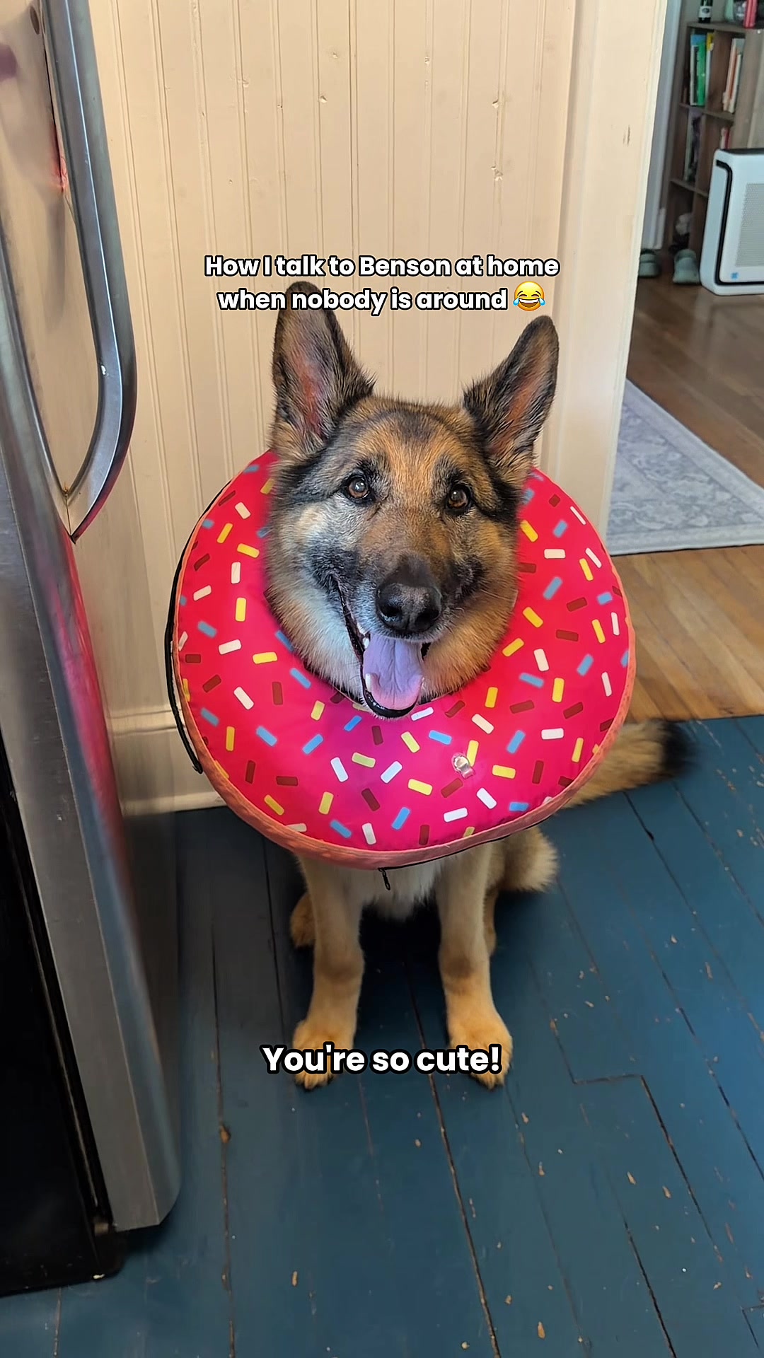 @Best Boy Benson