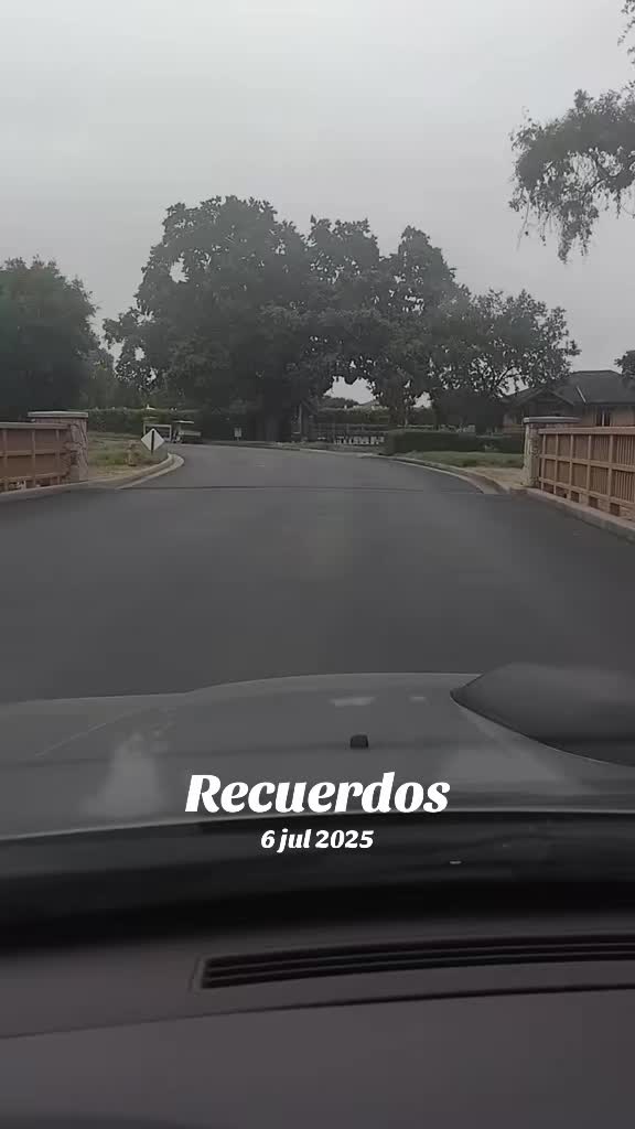 @Carlos Castillo 🍀🐸🐇🇲🇽