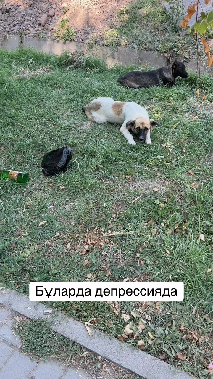 @Мадина / логопед-дефектолог