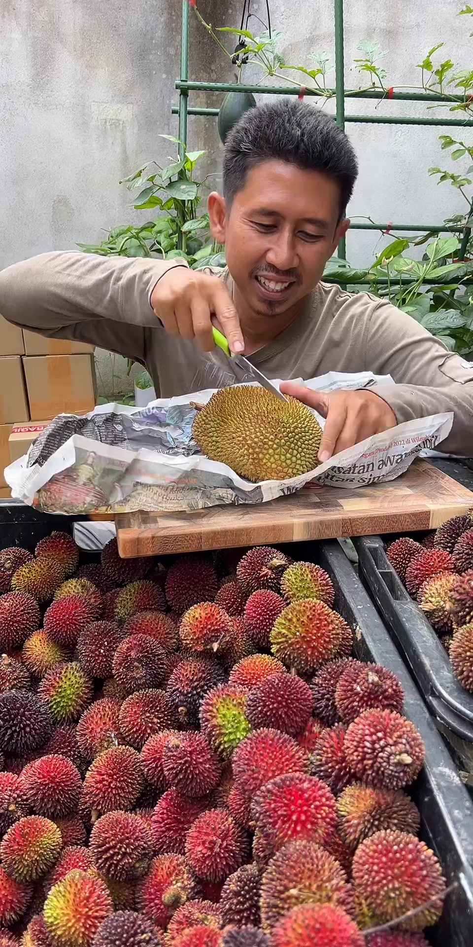 @Dusun Cikgu Mail