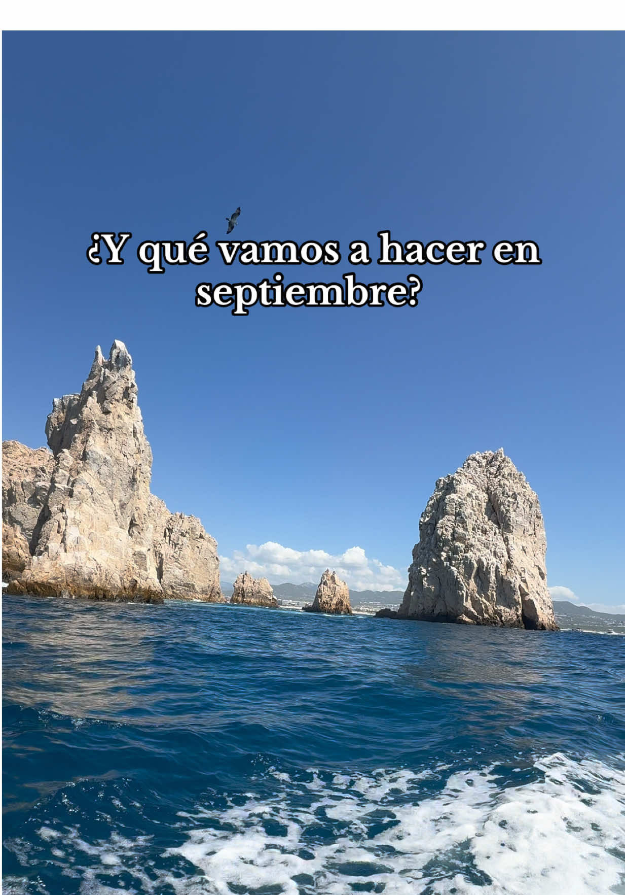 @Nidia Rojas S