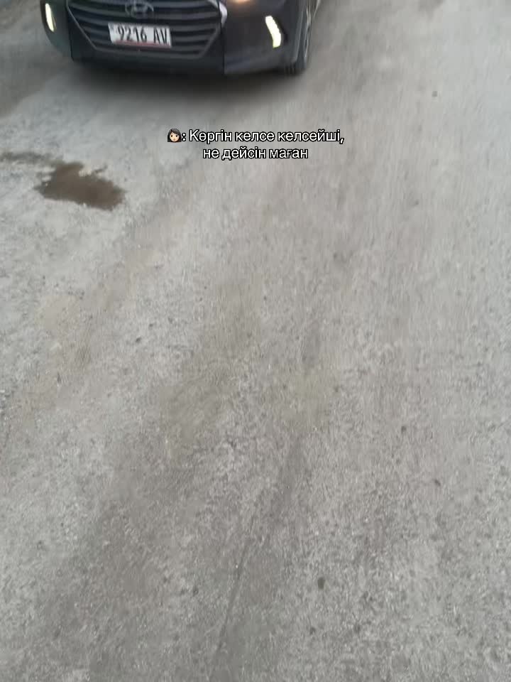 @Asylbekov