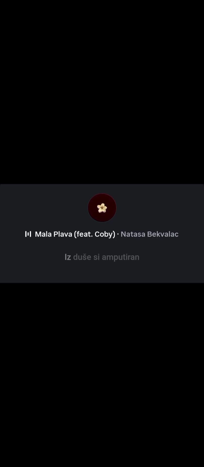 @𝘵𝘰𝘥𝘰𝘳𝘢