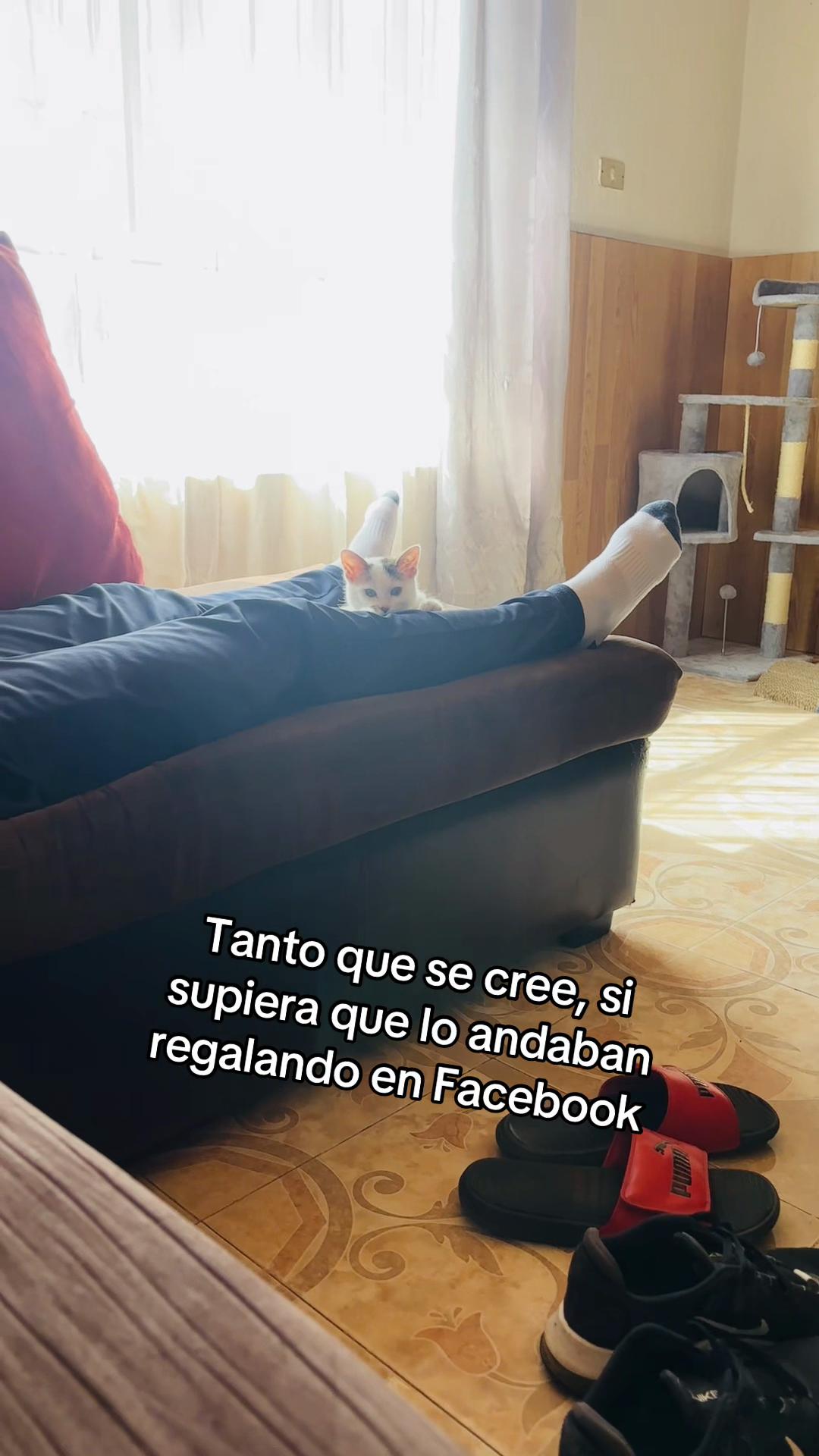 @EdgarLuporth✨🪐
