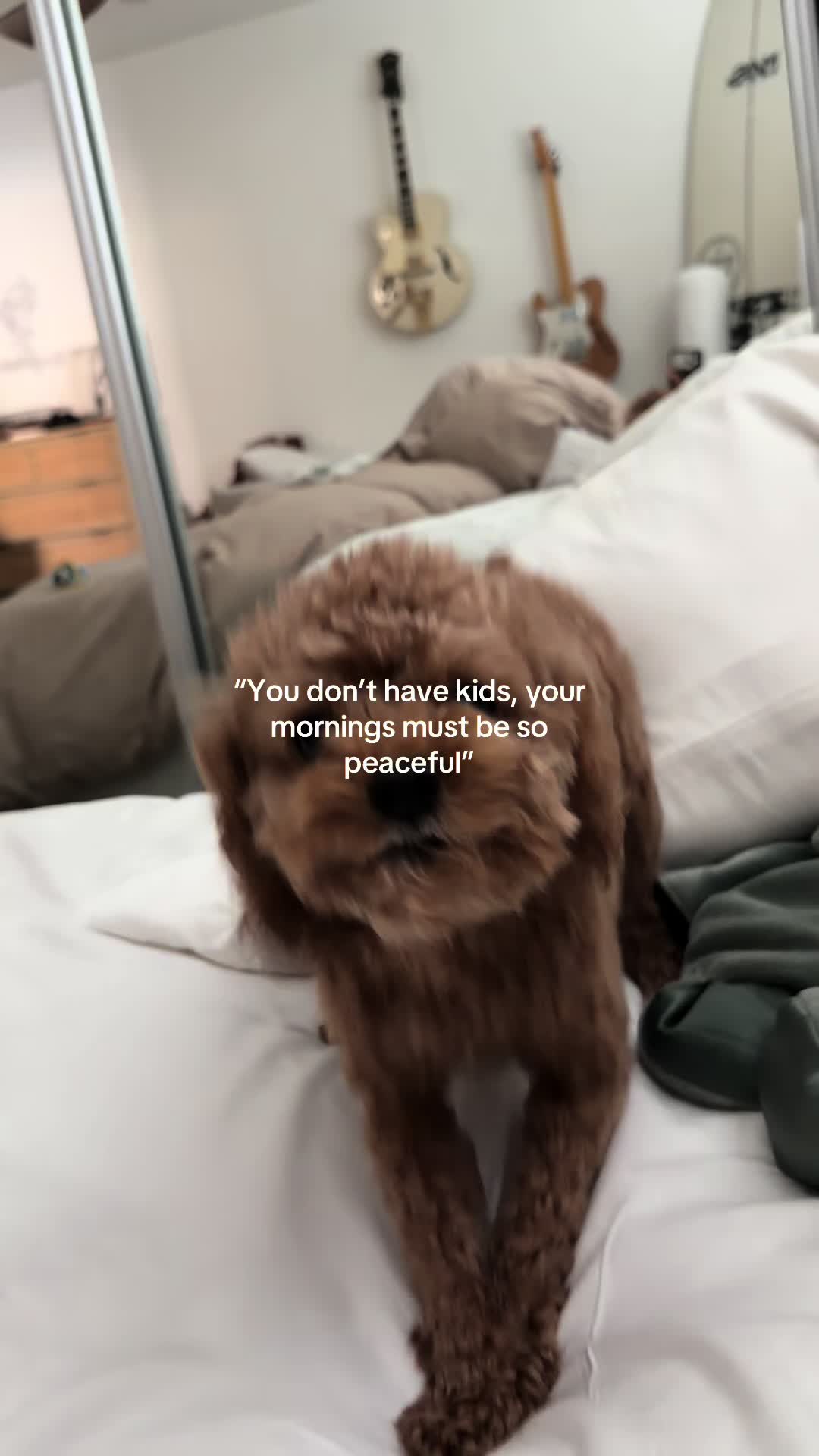 @enzoprincethepup