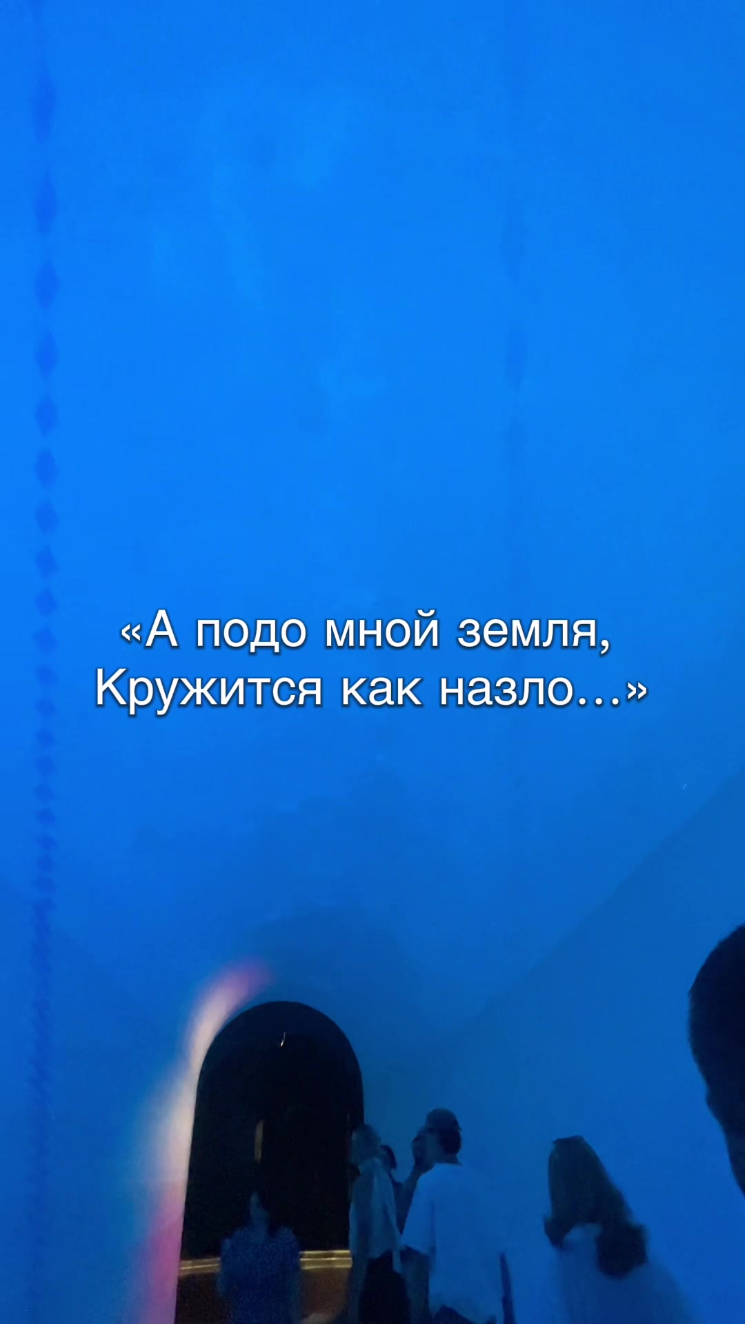 @Gelechka🏒🪽