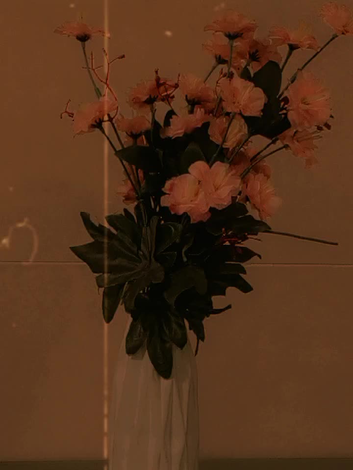 @Rana Aalyan