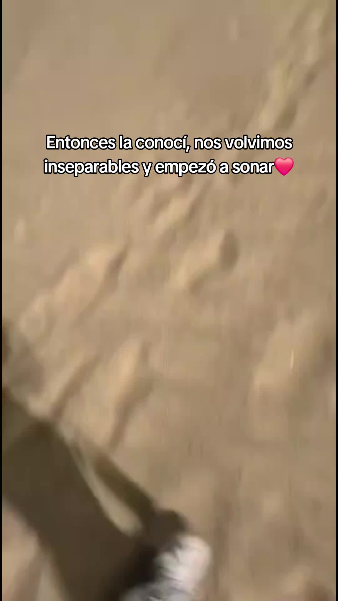 @Ginger Espïn