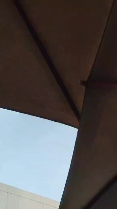@betzabe.f