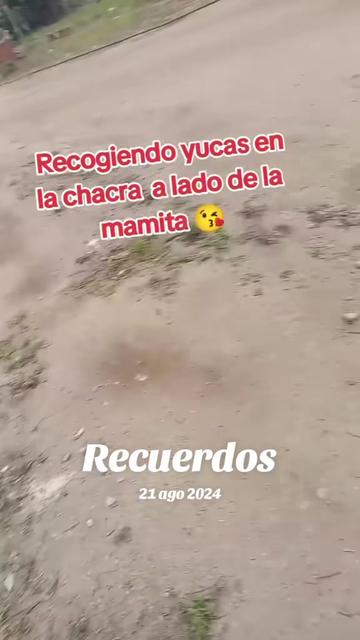 @tudiosa26