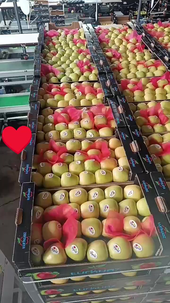 @Memo kezo38 1984 gayserilii gı