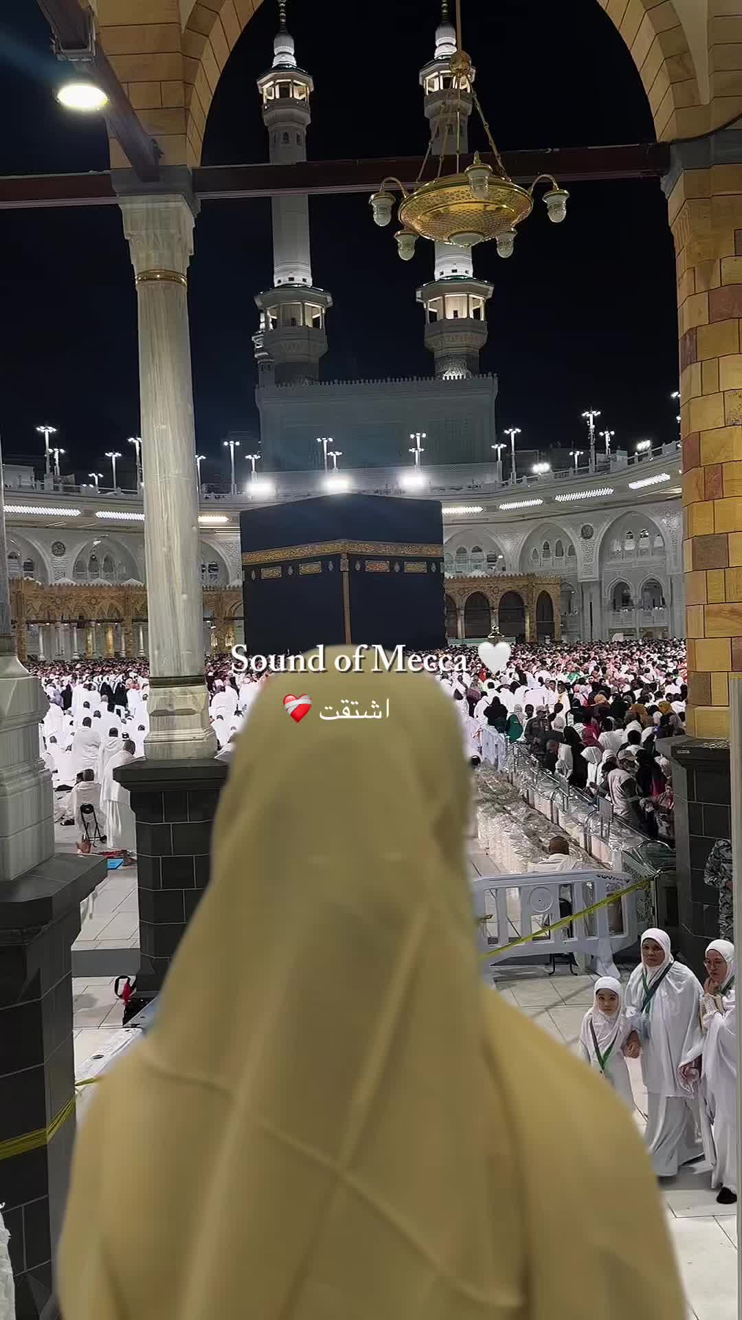 @lolo_yemen