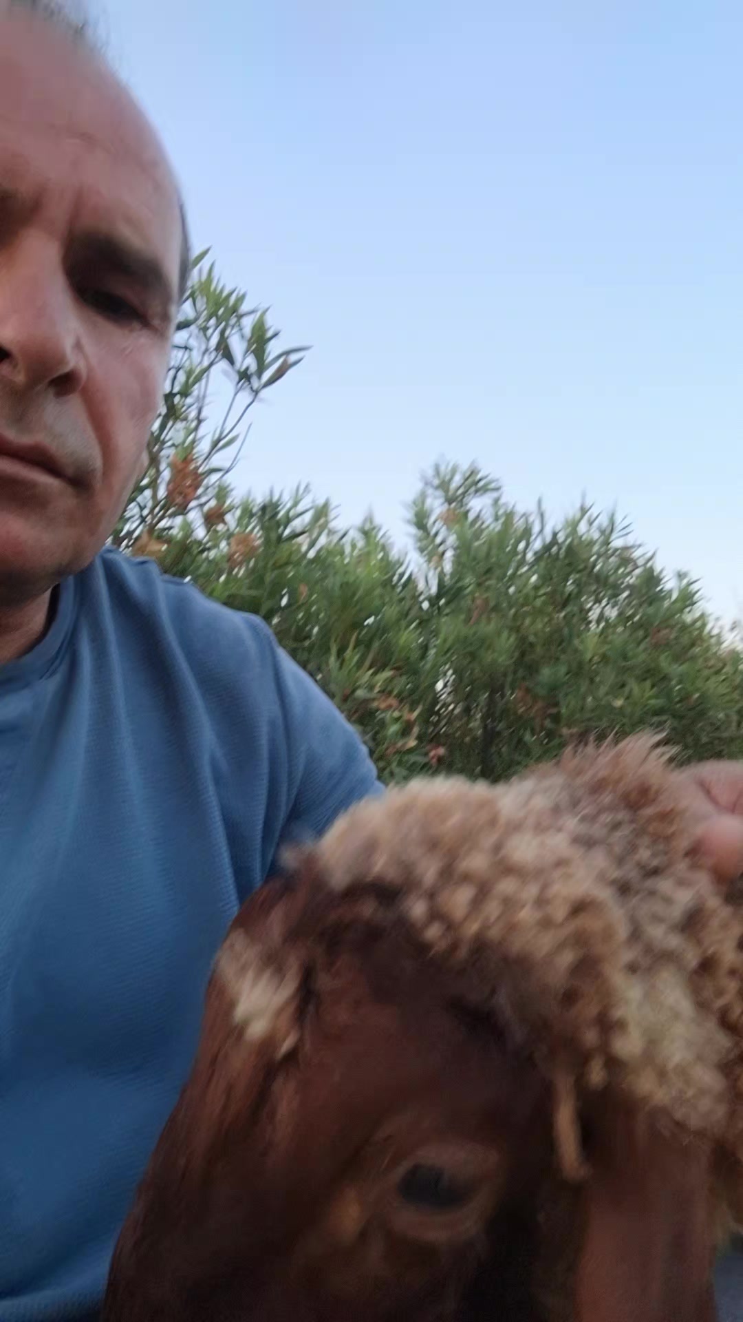 @Halil Buluş