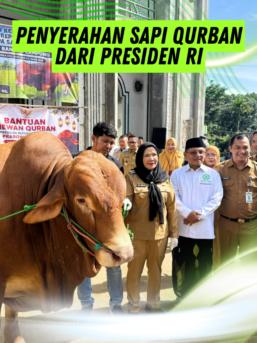 @Eva Dwiana