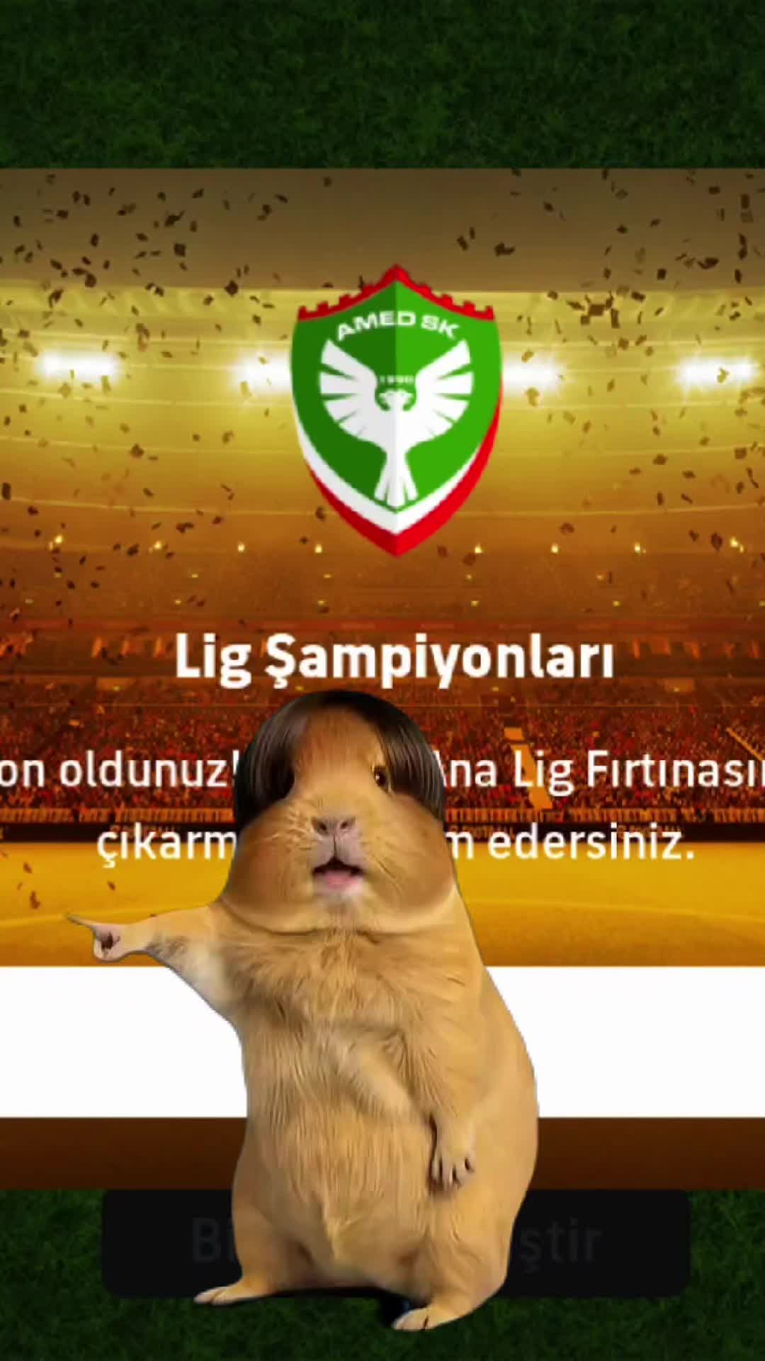 @Harun Gezek