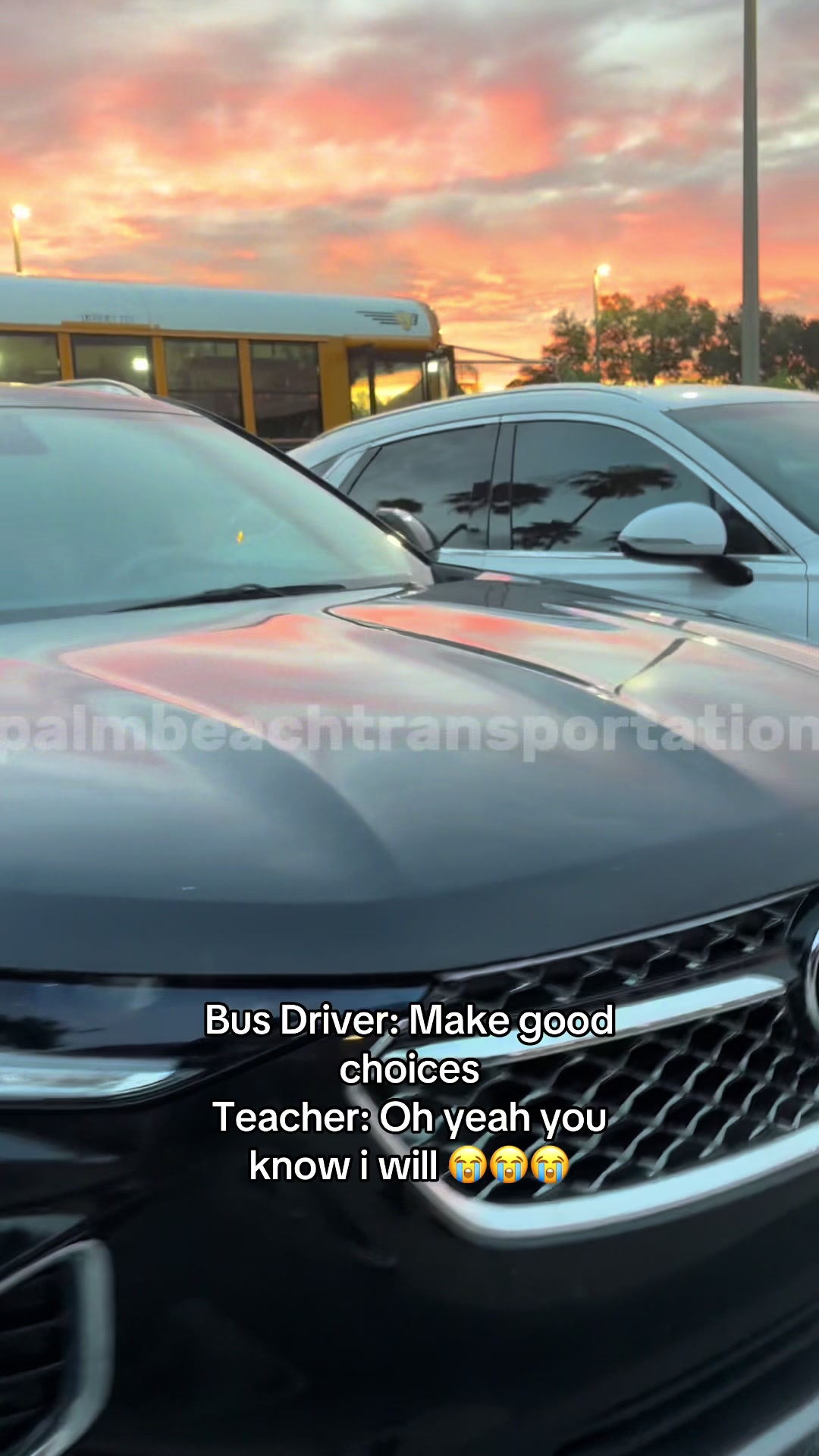 @palmbeachtransportation