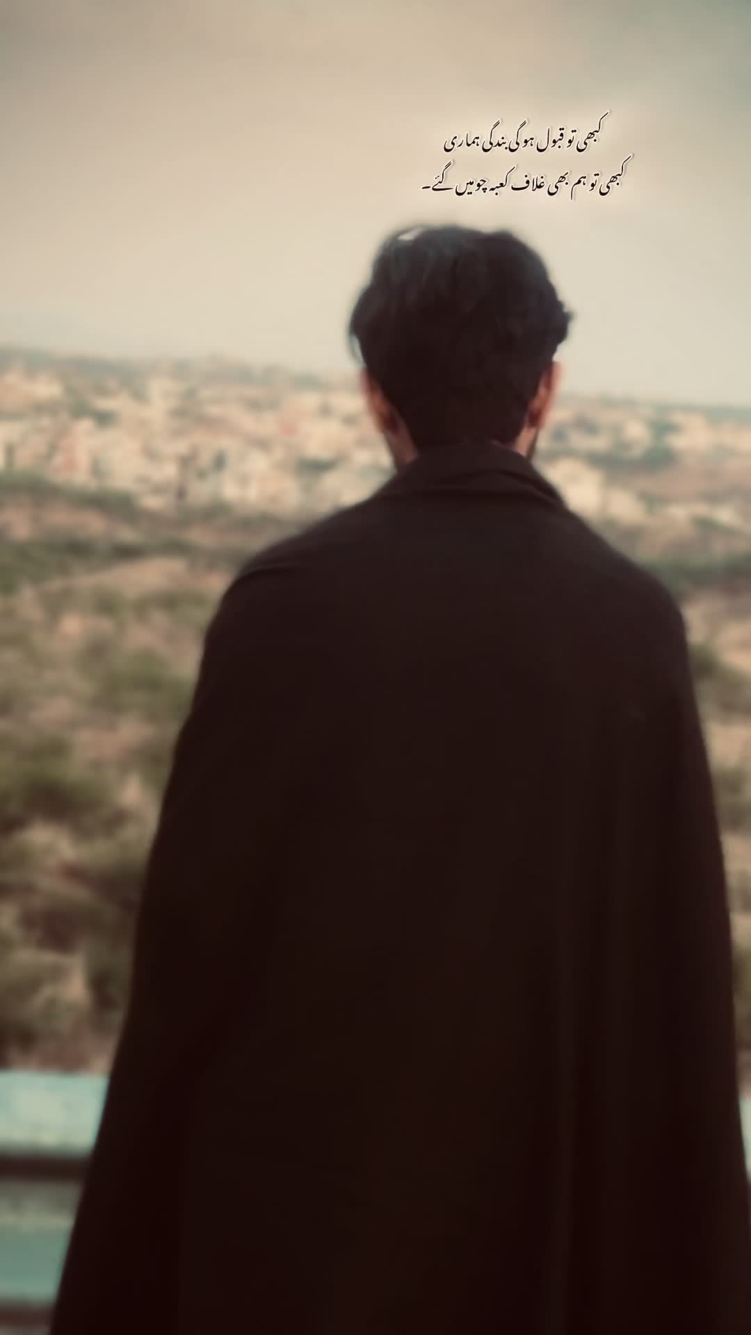 @ولید راجہ 🐺