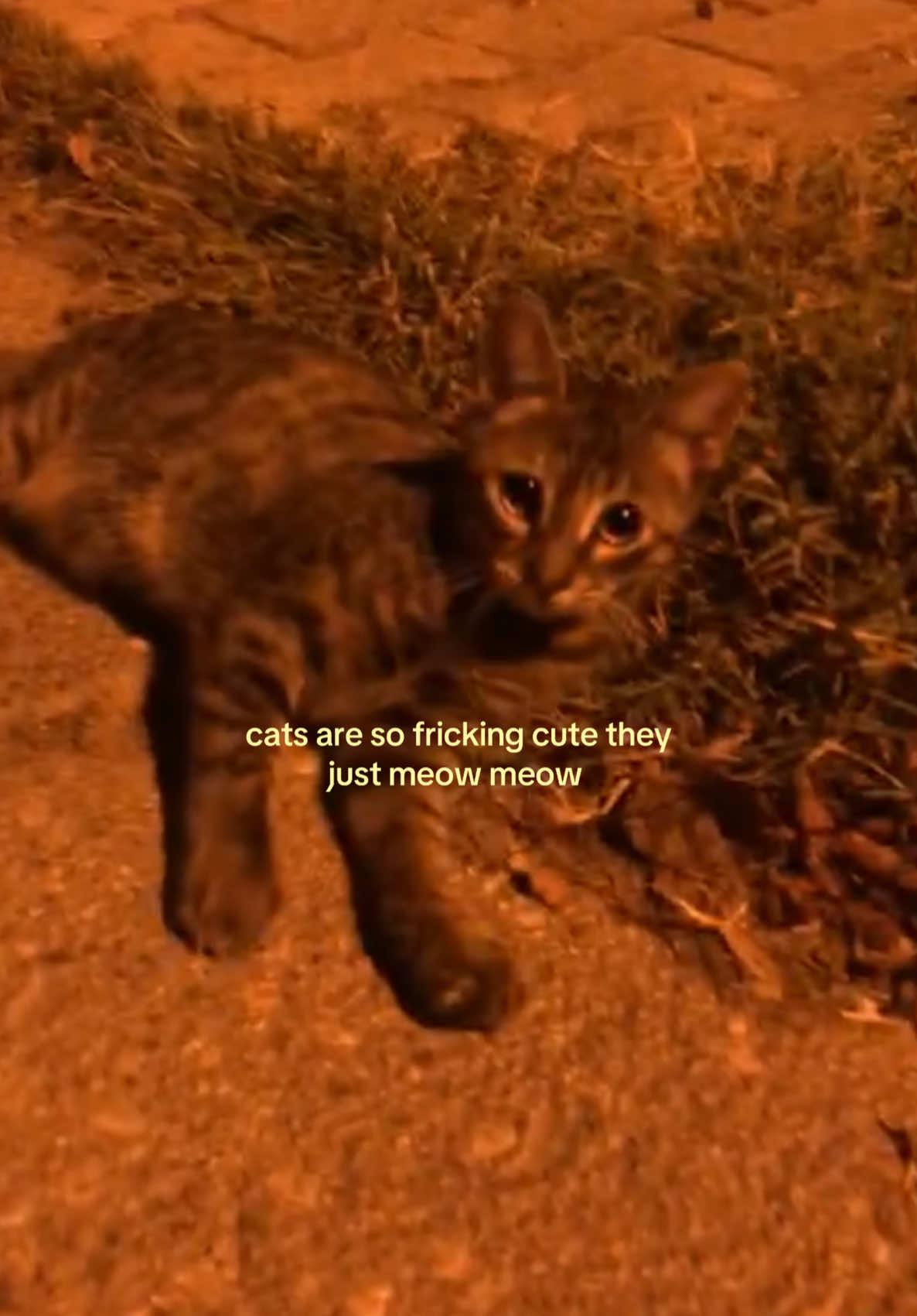 @ʀᴇɪ