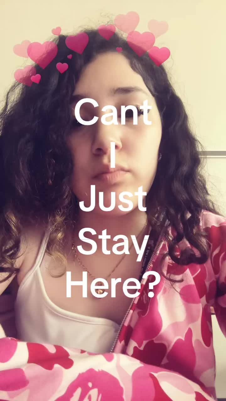 @ibitecars