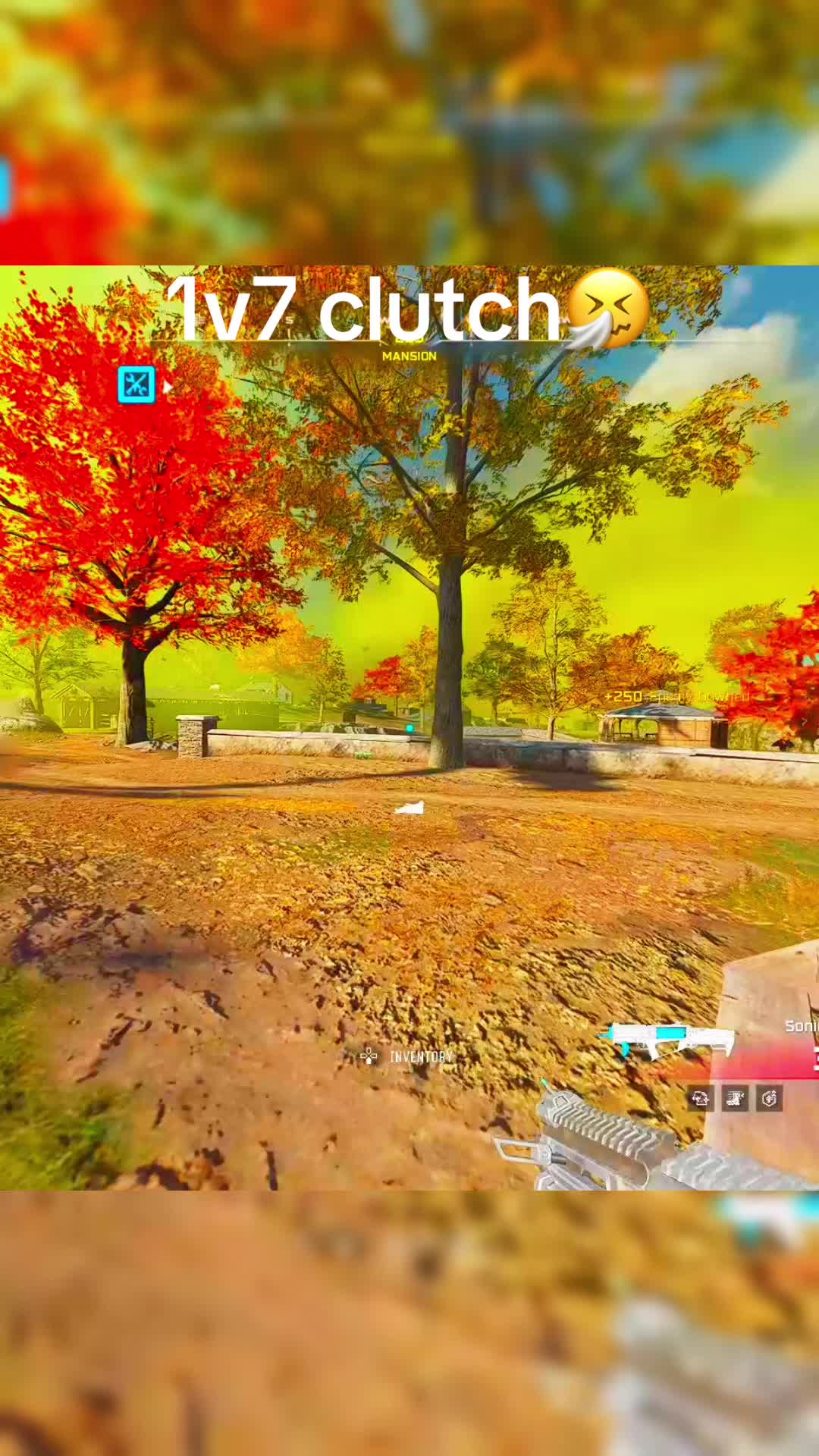 @Saywalla340