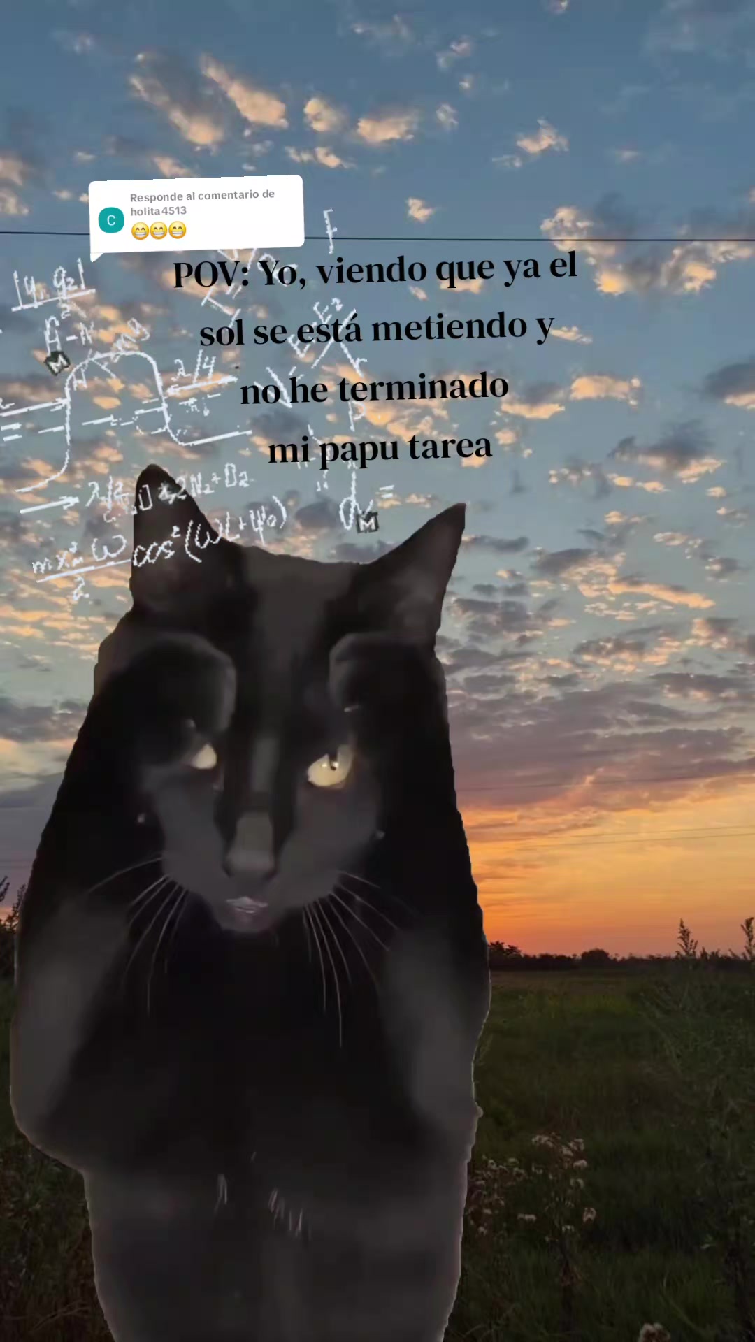 @Ivonne