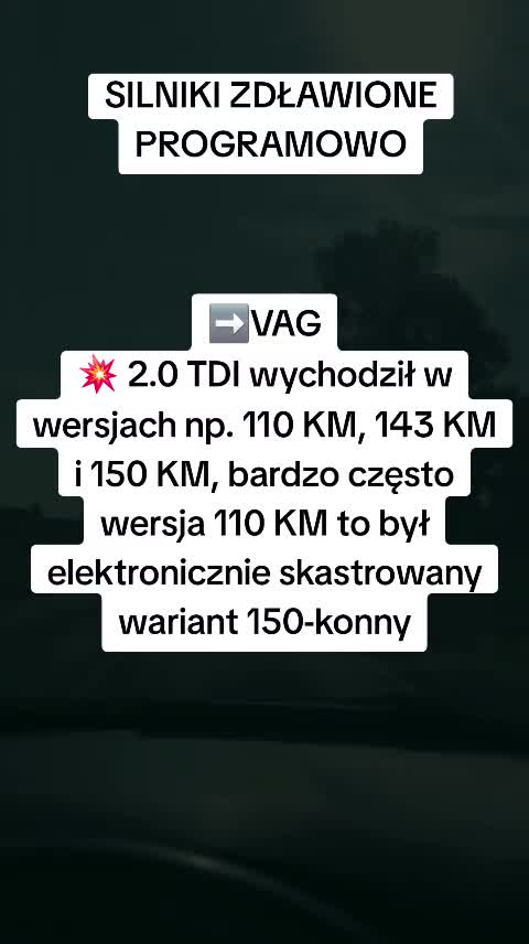 @MiszMasz