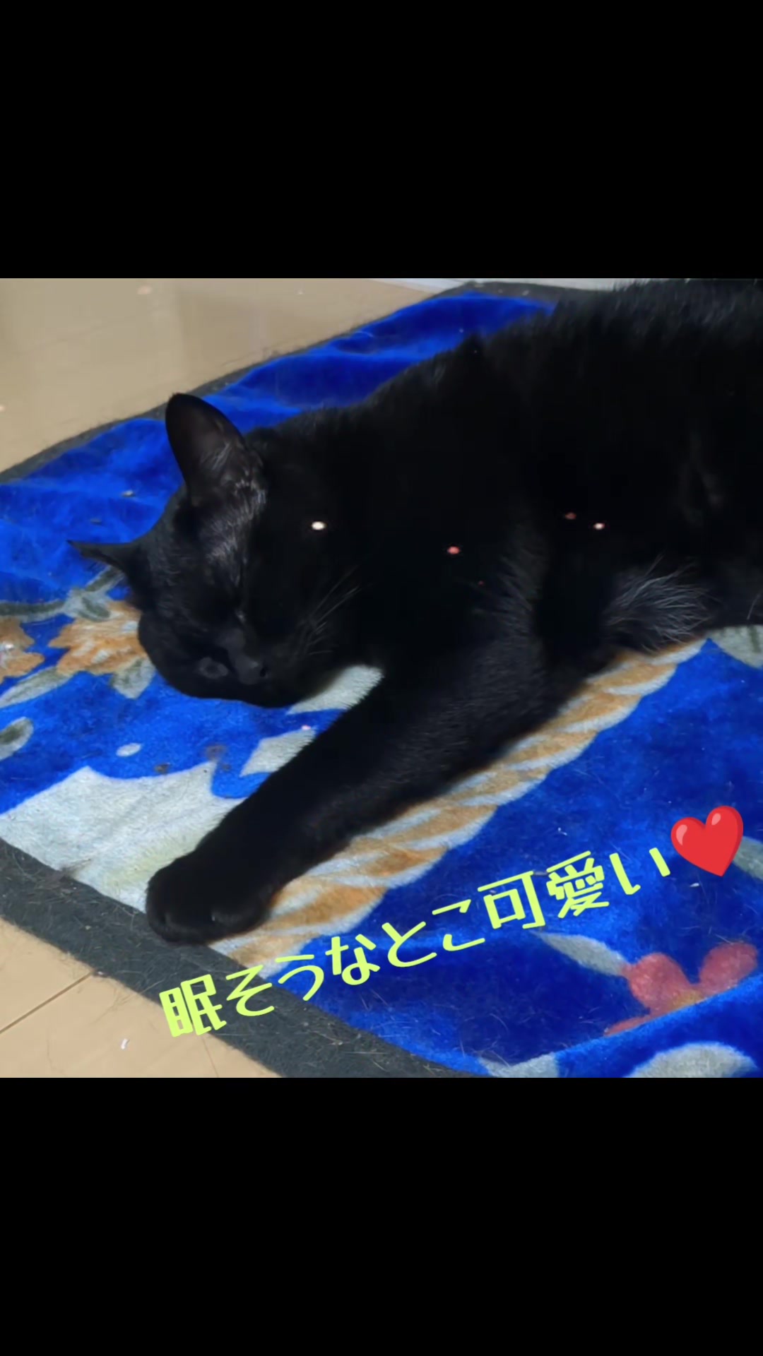 @キュキュ