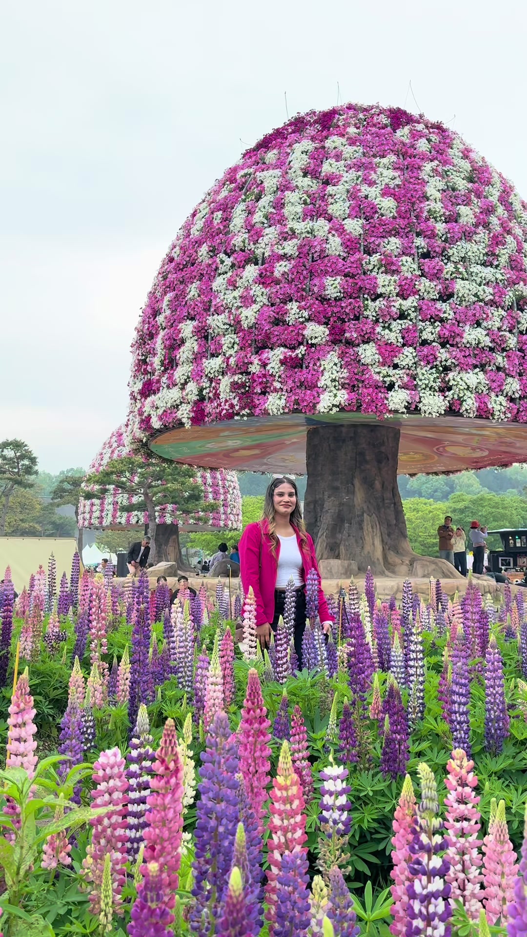 @🇳🇵❤️Anjali pangeni❤️🇰🇷
