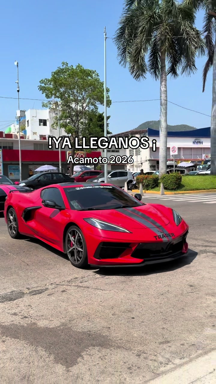 @trader Rodrigo medel