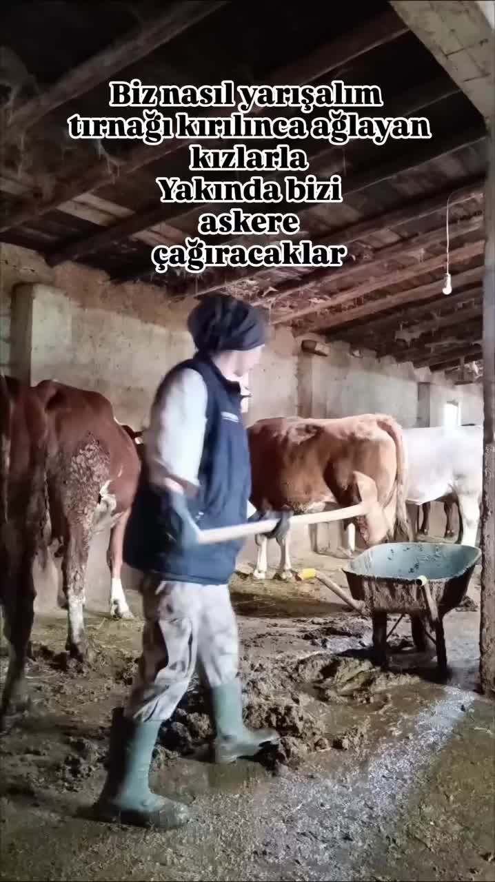 @Gizem