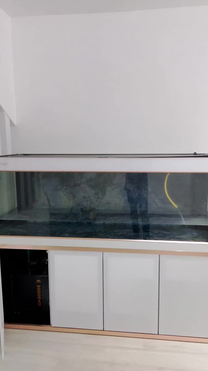 @Pearl Aquatics