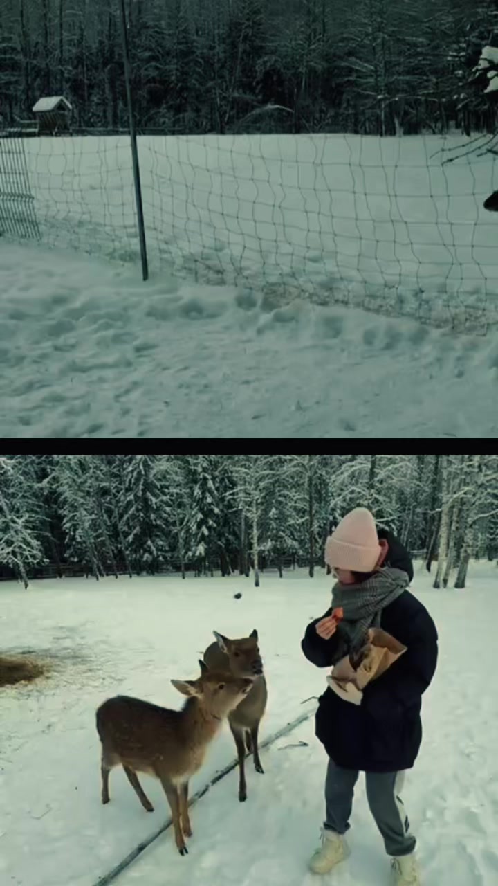 @geliks_42