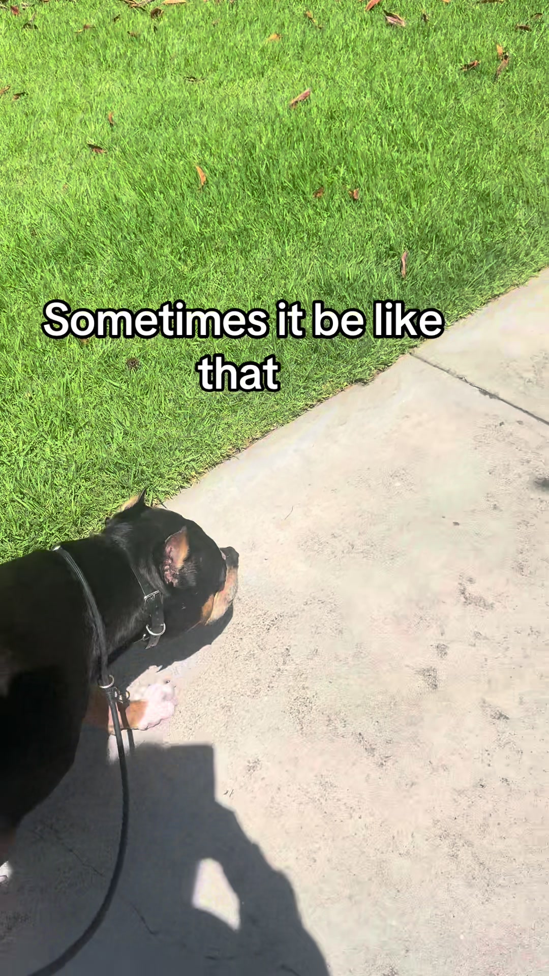 @Tater On TikTok