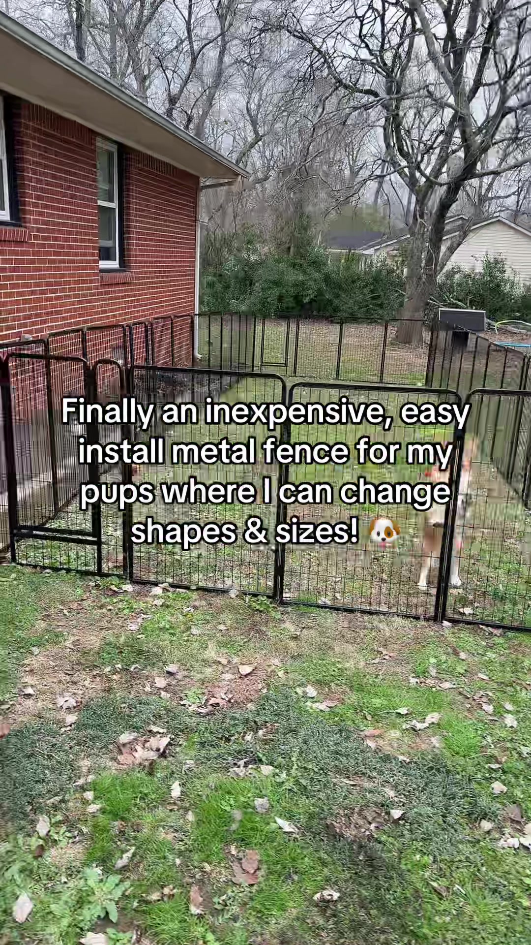 @B_Wins