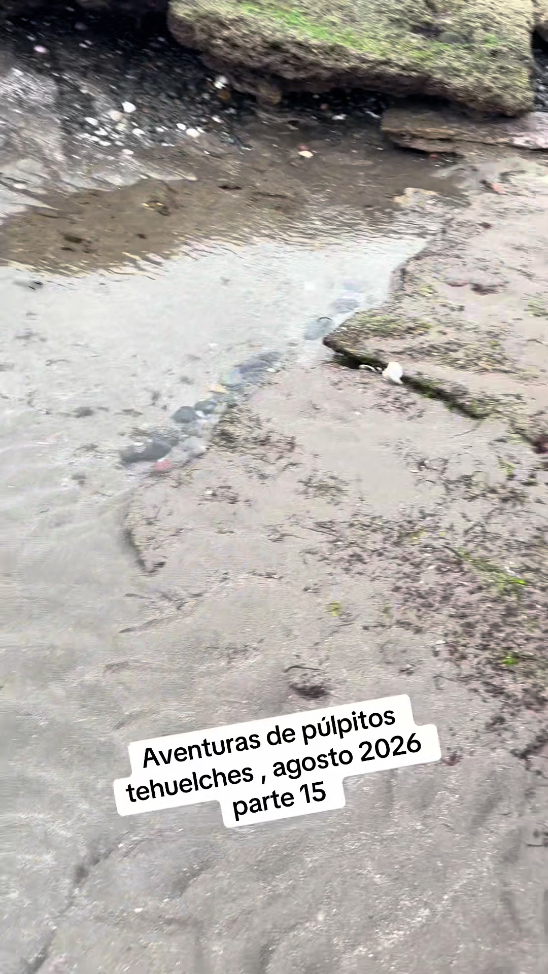 @El flaco