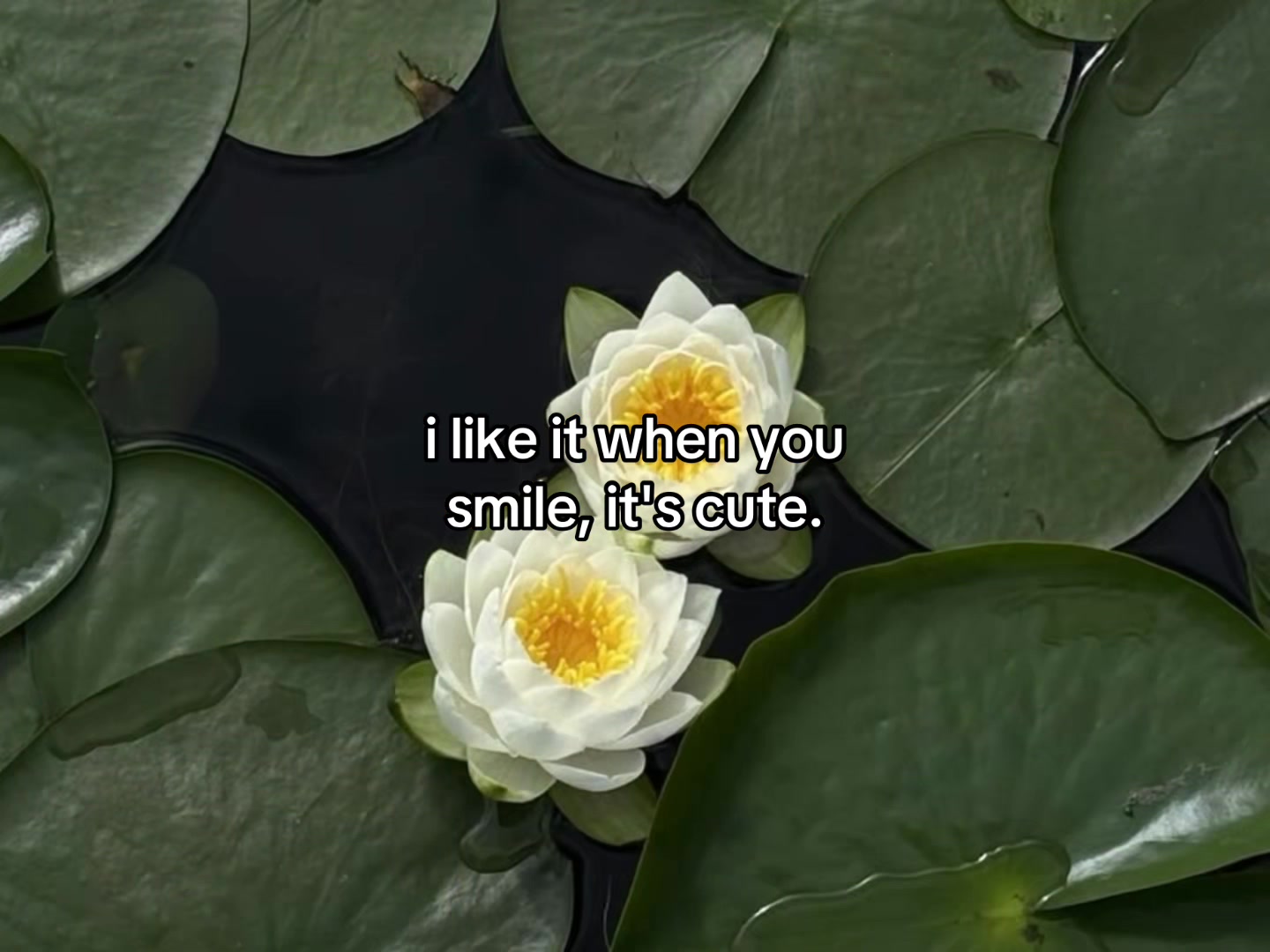 @flowercorrre
