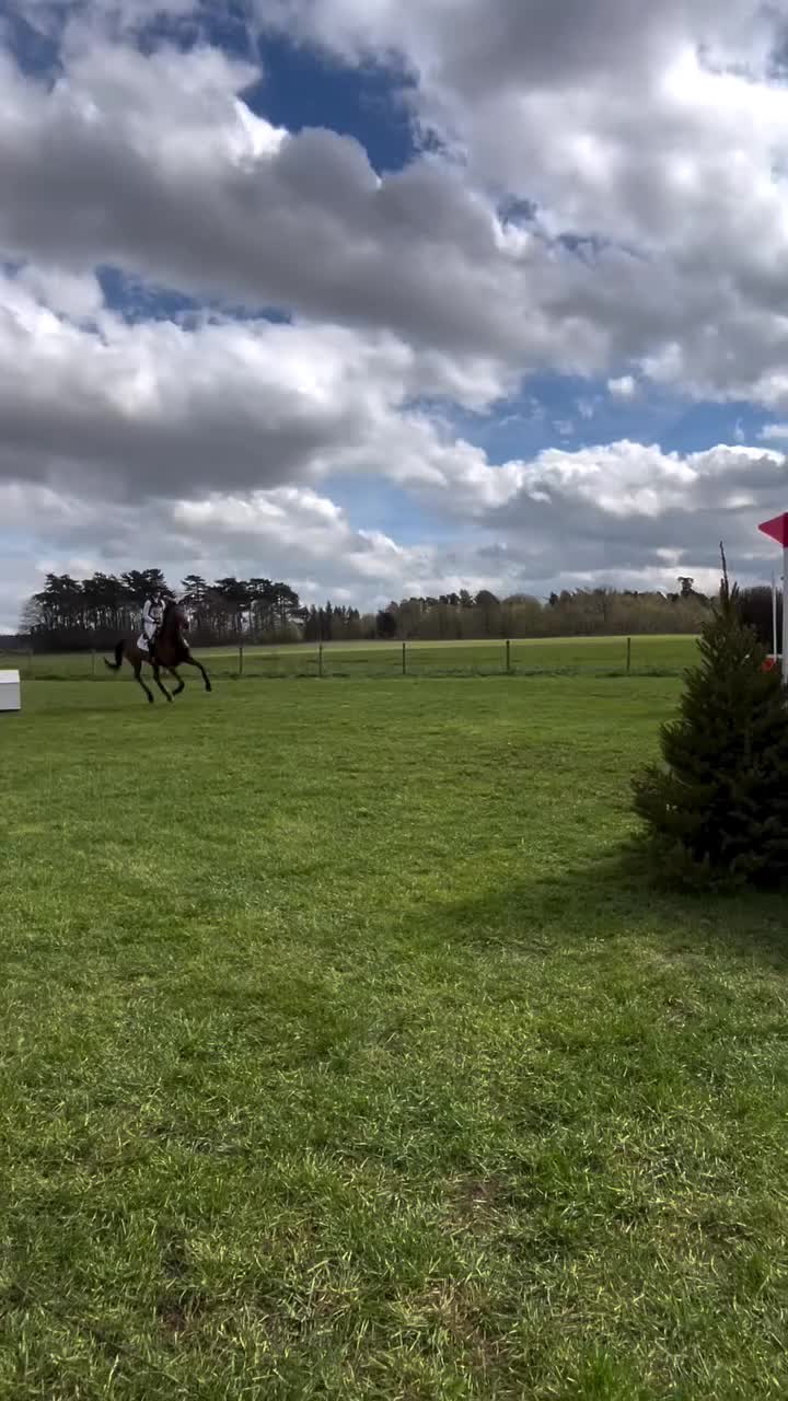 @horse 🐎