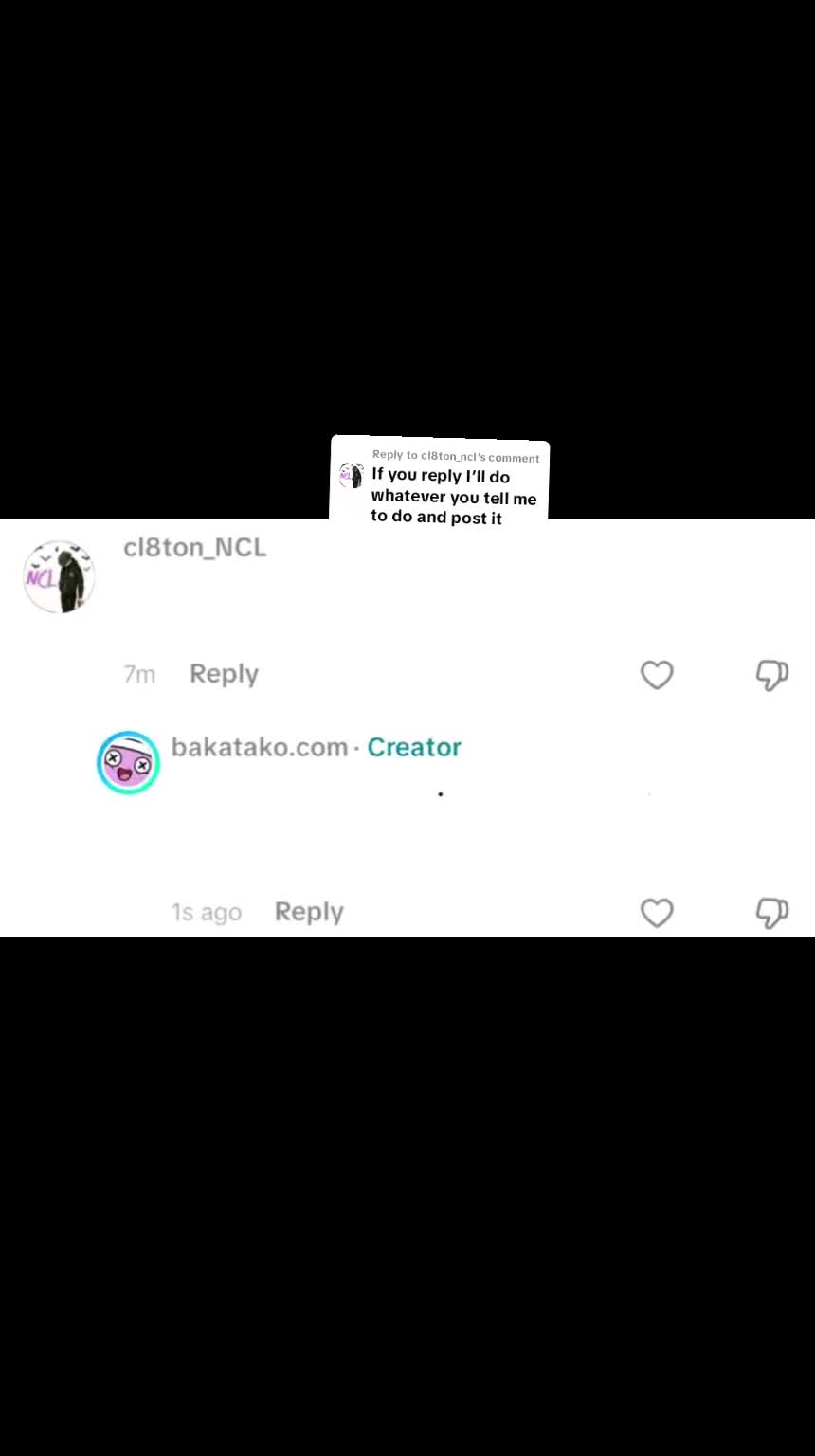 @bakatako.com