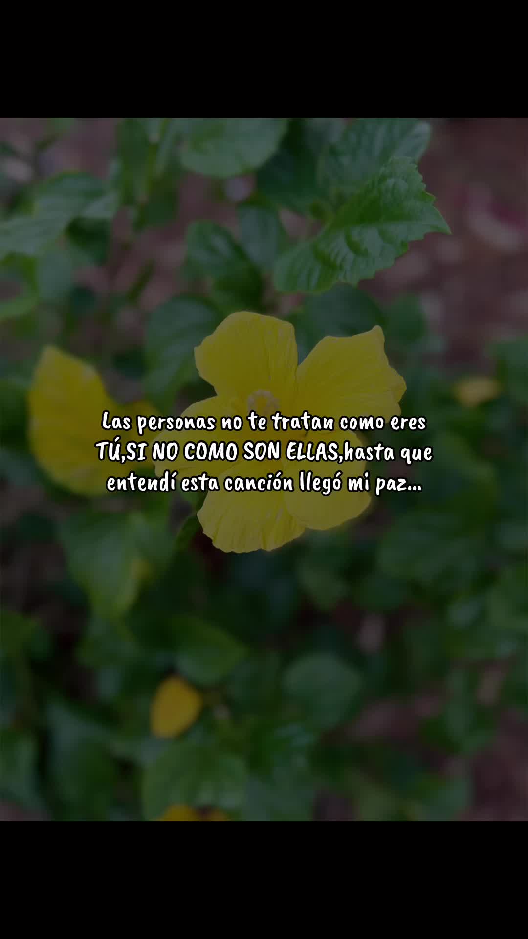 @❀keishla_keishla❀