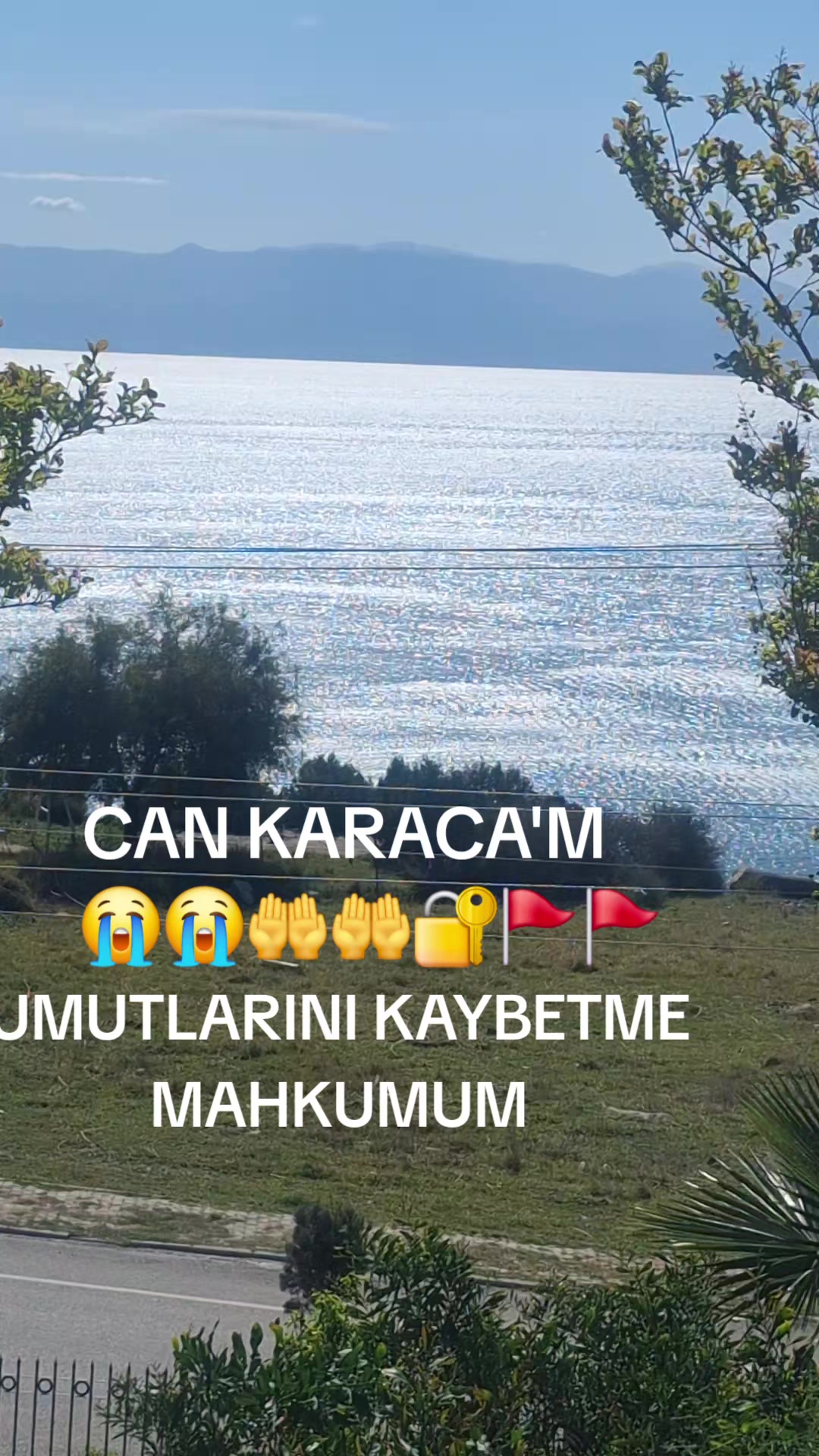 @can_gul0102