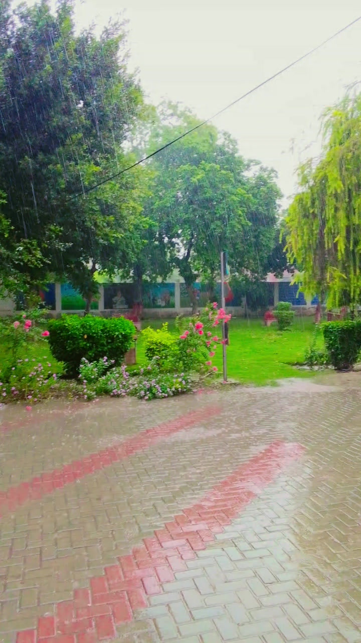 @QamaR Abbas Haral