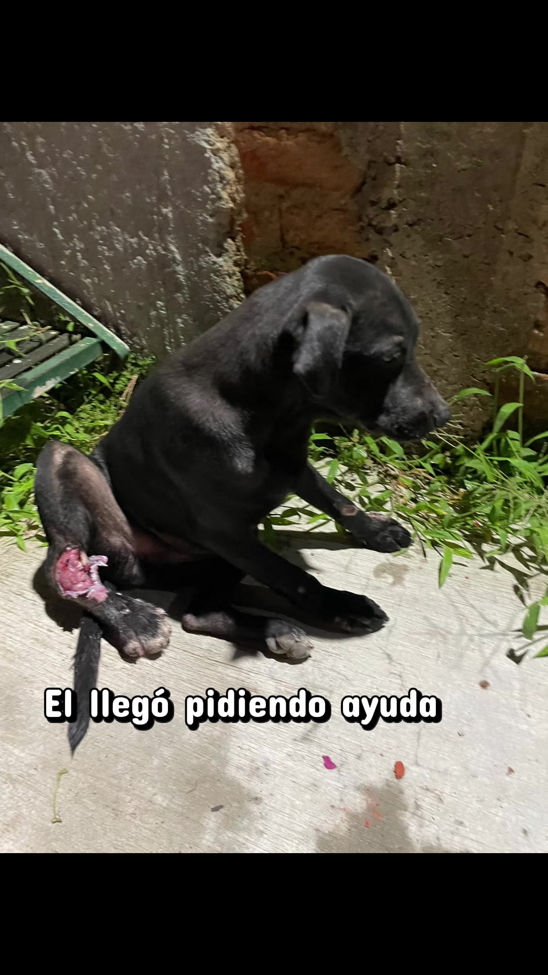 @Jaqueline Noriega