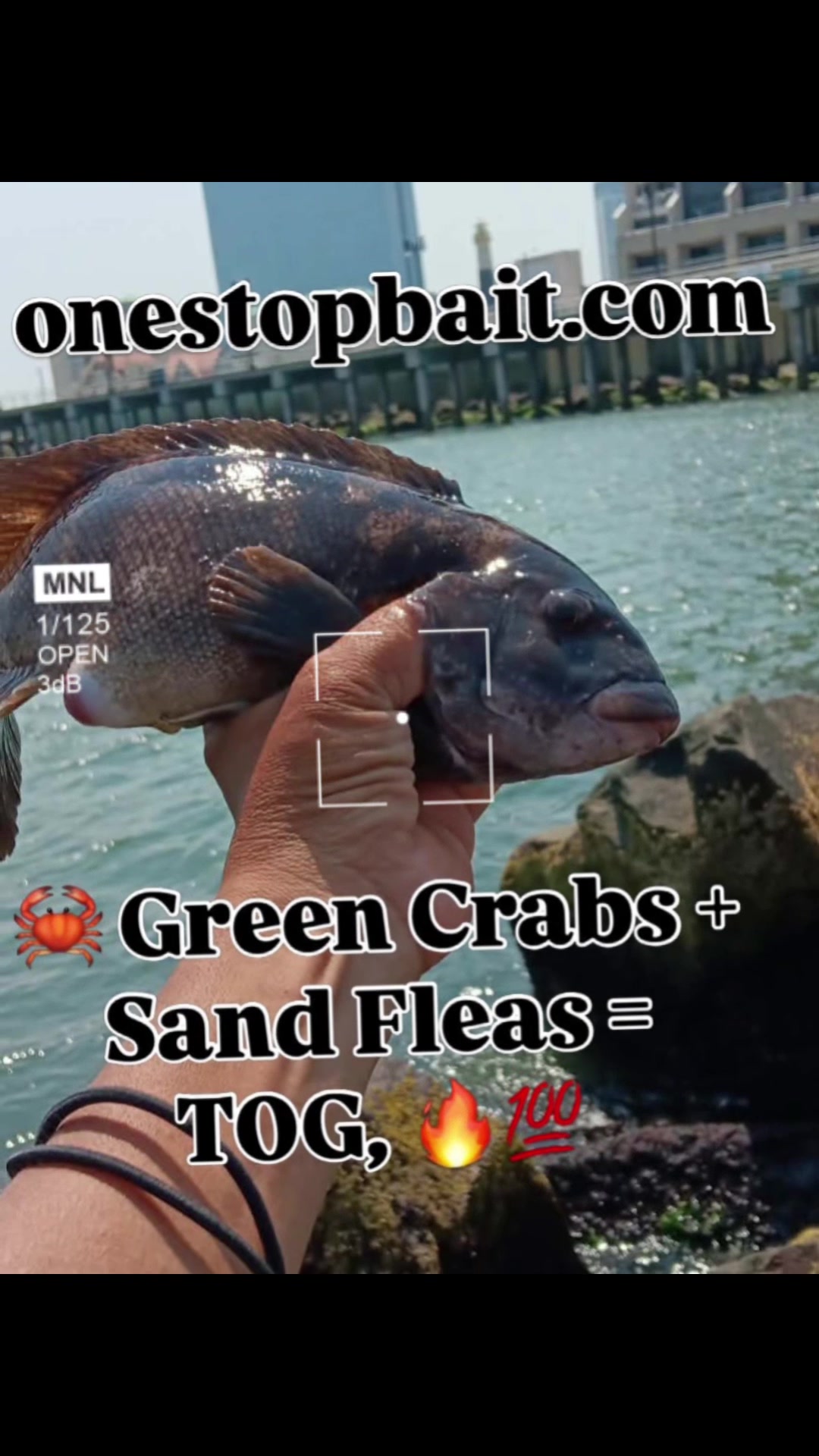@One stop bait & tackle