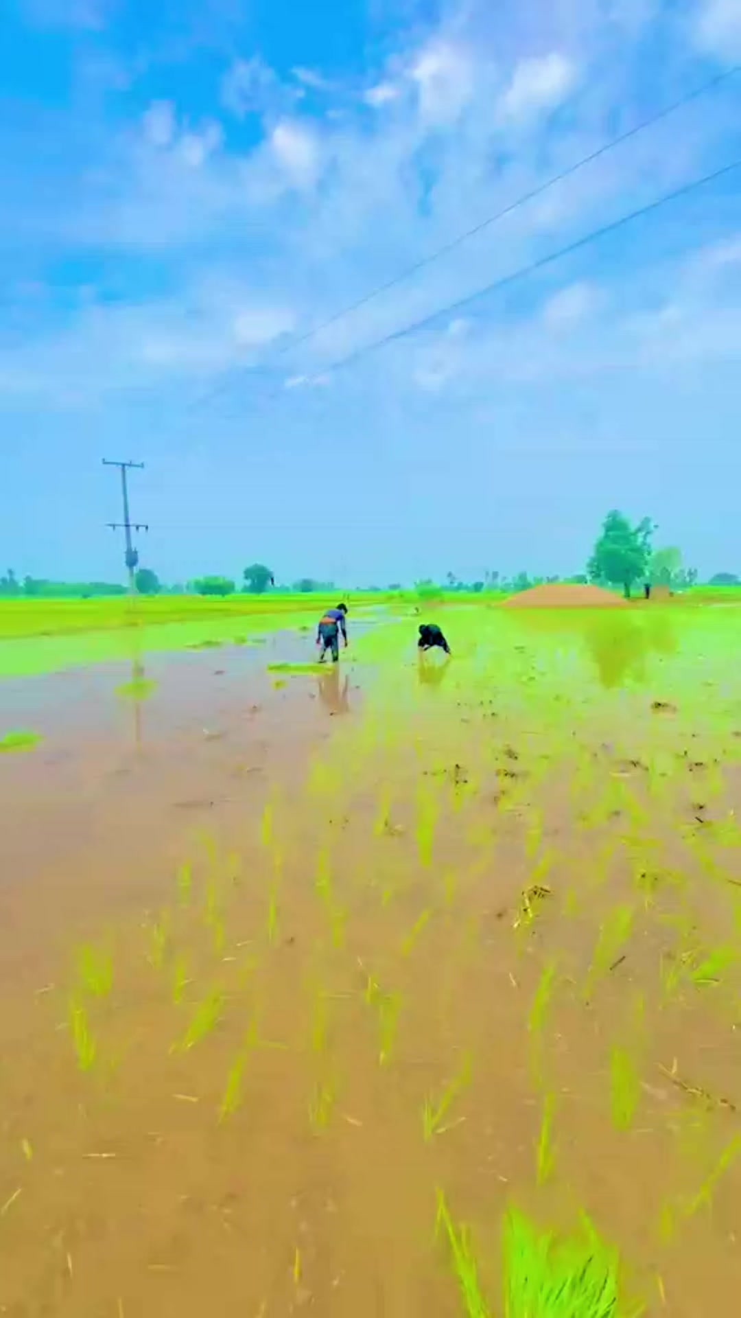 @𝗥𝗮𝗻𝗮 𝗨𝘀𝗺𝗮𝗻❤💫