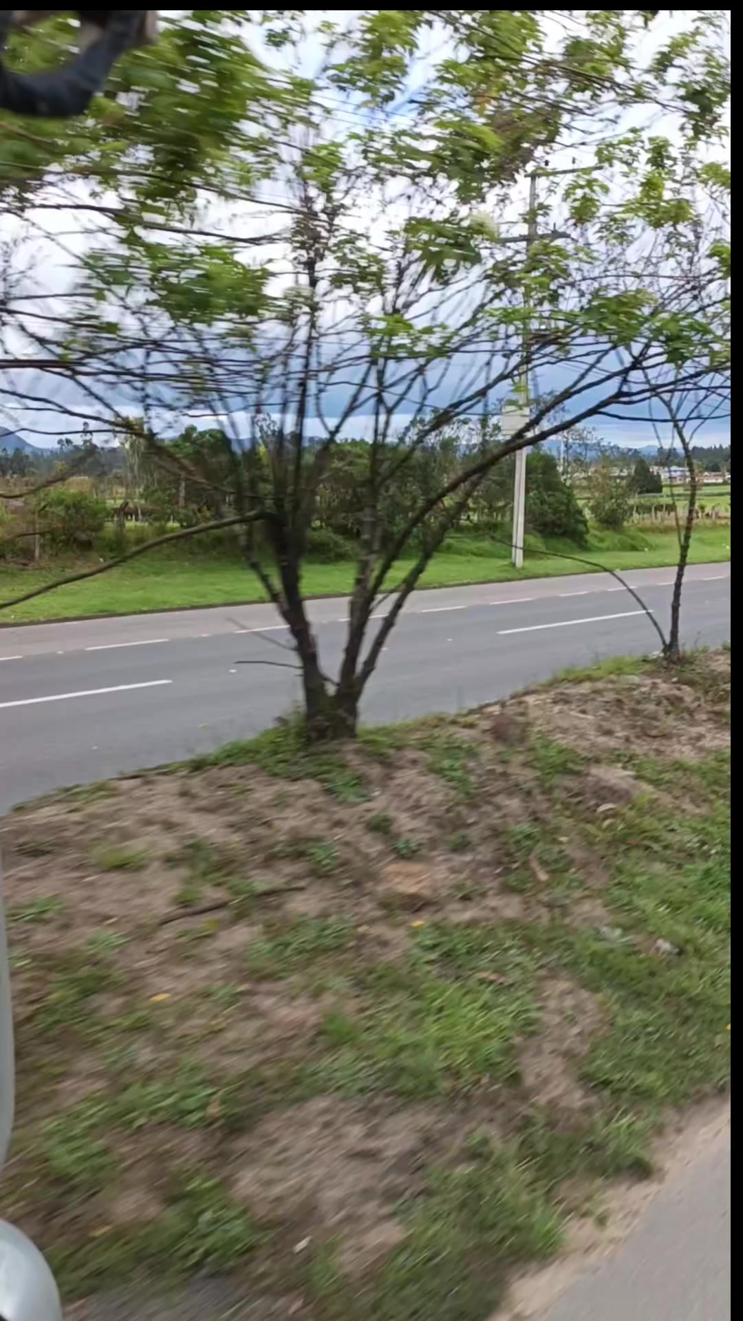 @Marco Avendaño