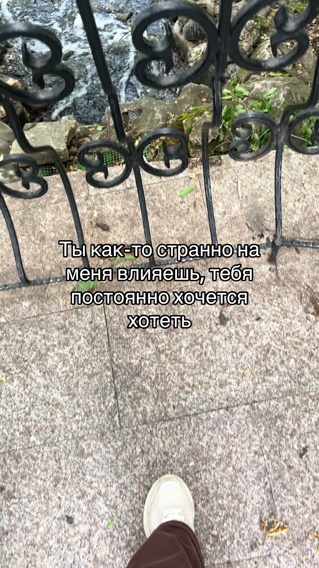 @KotLeopold193RUS